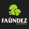 Faundez S.L.