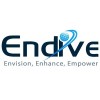 Endive Software