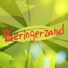 Camping Beringerzand B.V.