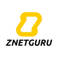znetguru web design aveiro portugal