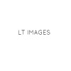 LT Images