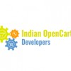 Indian Opencart Developers