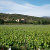 Celler Vila Corona