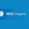 SEO Organic