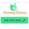 Cleaning Chelsea
