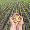 Davis Feed & Farm Supply