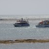 Cruceros Sancti Petri