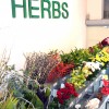 Herbs Barcelona S.L.