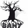 Bany International B.v.