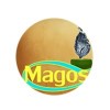 Magos - Organização dos Amigos de São Gregório Magno - Associação, ONGD