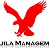 Aquila Management Consulting