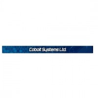 Cobolt Systems Ltd