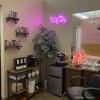 The Brow and Beauty Lounge