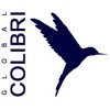 Global Colibri - Engineering and Consulting